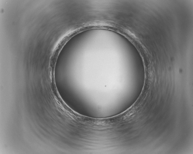 X0000054441408200508191559