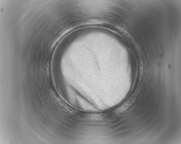 X0000054441409200508191559