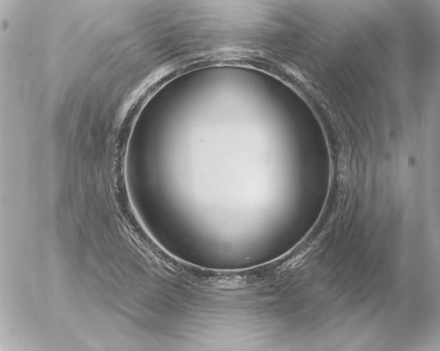 X0000054441410200508191559