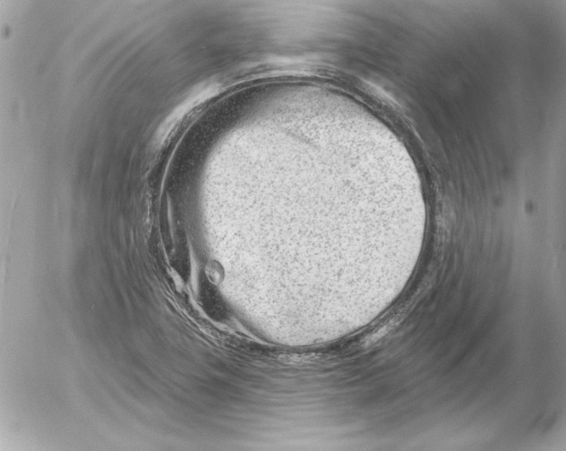 X0000054441411200508191559