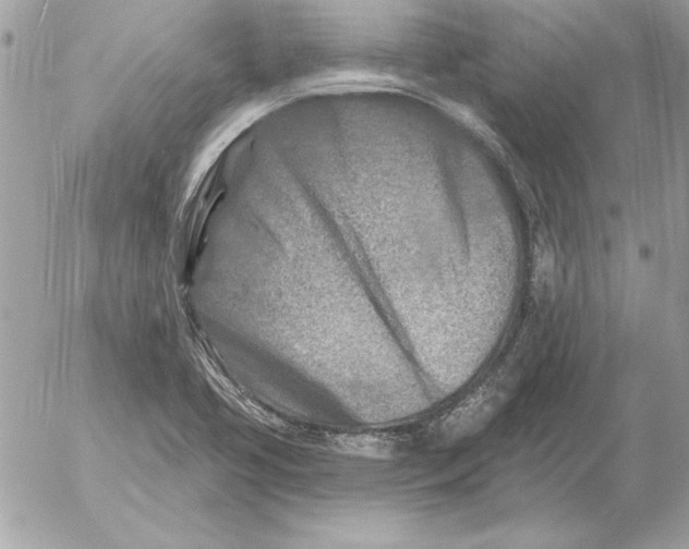 X0000054441413200508191559