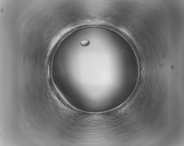 X0000054441414200508191559