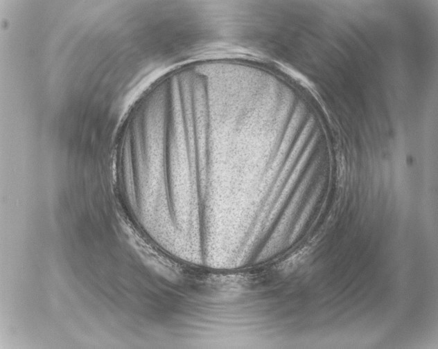 X0000054441415200508191559