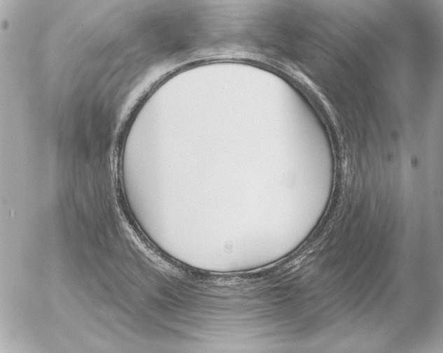 X0000054441416200508191559