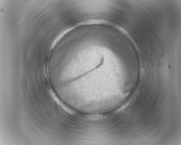 X0000054441417200508191559