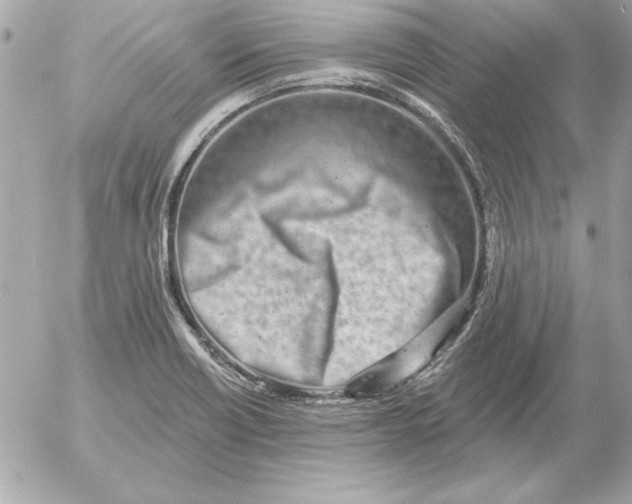 X0000054441418200508191559