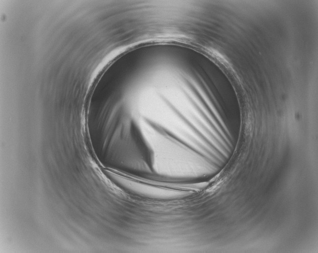 X0000054441420200508191559