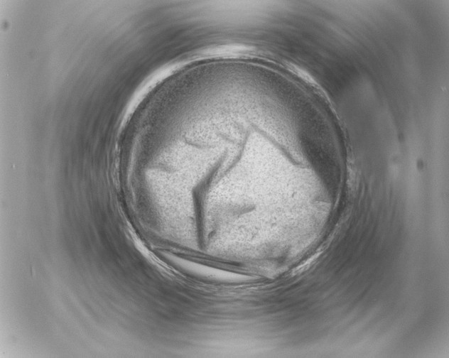 X0000054441421200508191600