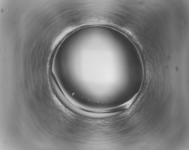 X0000054441422200508191600