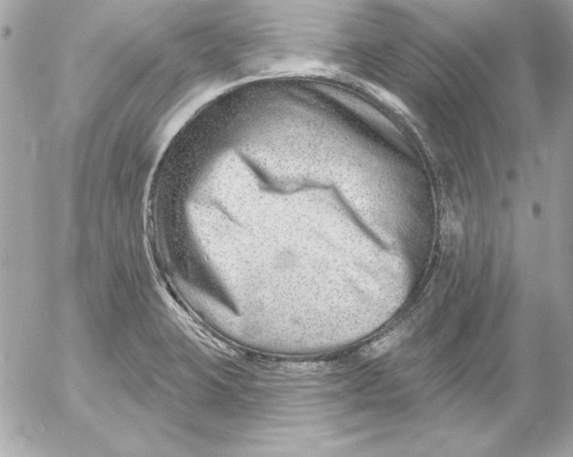 X0000054441423200508191600