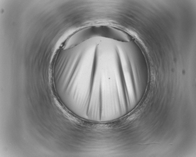 X0000054441424200508191600