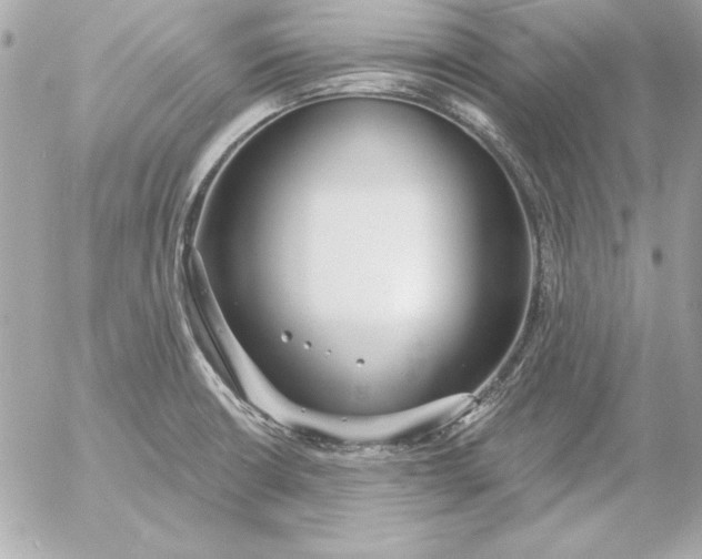 X0000054441426200508191600