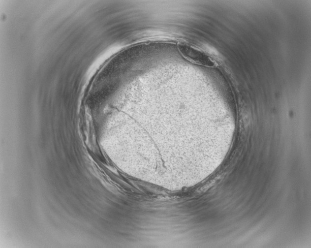 X0000054441427200508191600