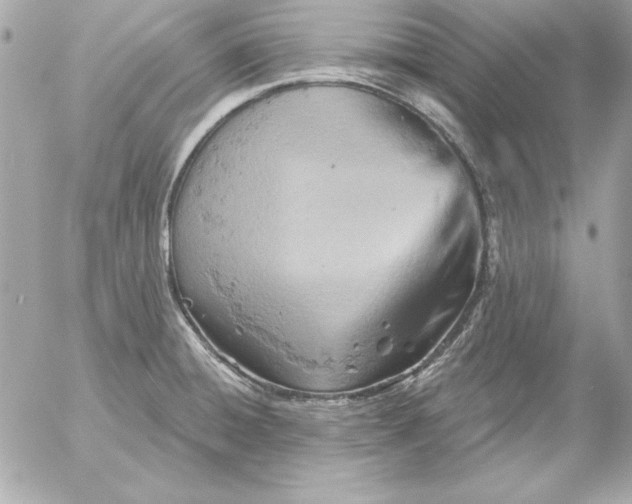 X0000054441428200508191600