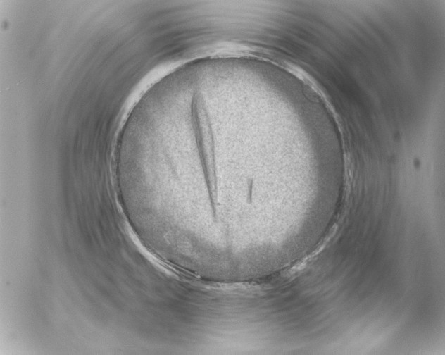 X0000054441429200508191600