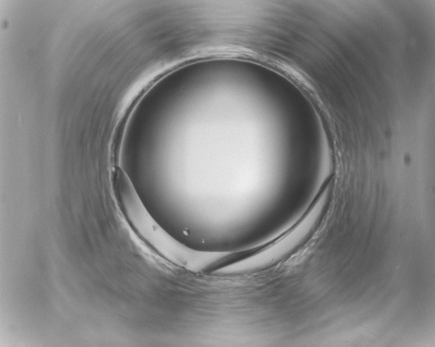 X0000054441430200508191600