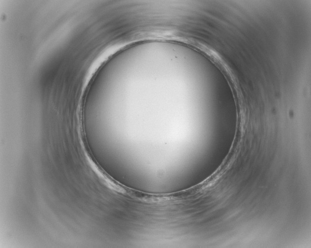 X0000054441432200508191600