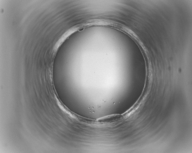 X0000054441433200508191600