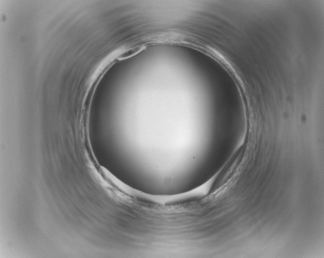 X0000054441434200508191600