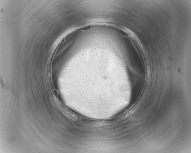 X0000054441435200508191600