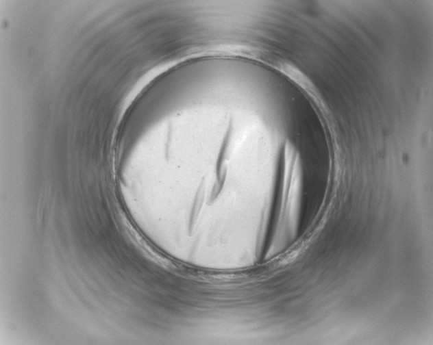 X0000054441436200508191600