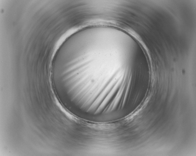 X0000054441437200508191600