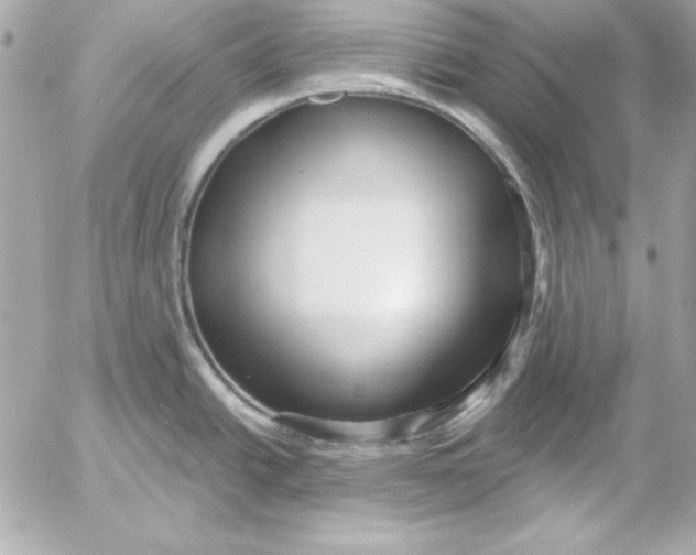 X0000054441438200508191600