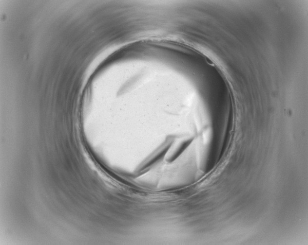 X0000054441440200508191600