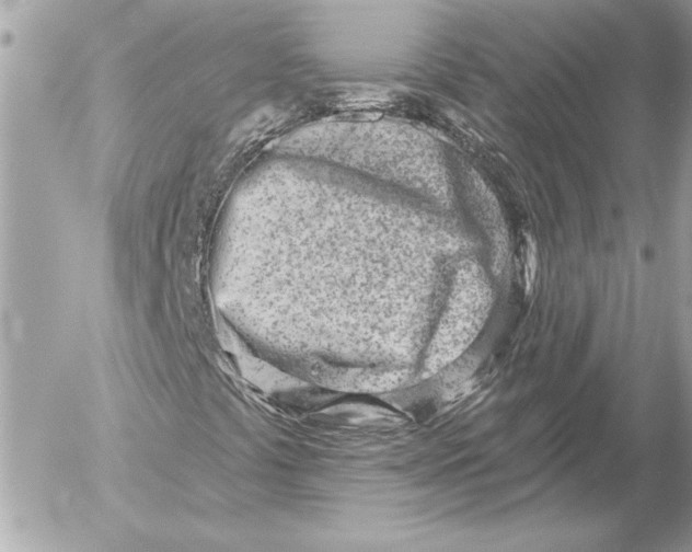 X0000054441441200508191559