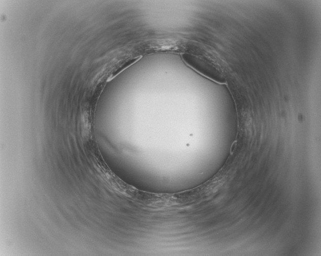 X0000054441442200508191559