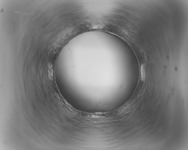 X0000054441443200508191559