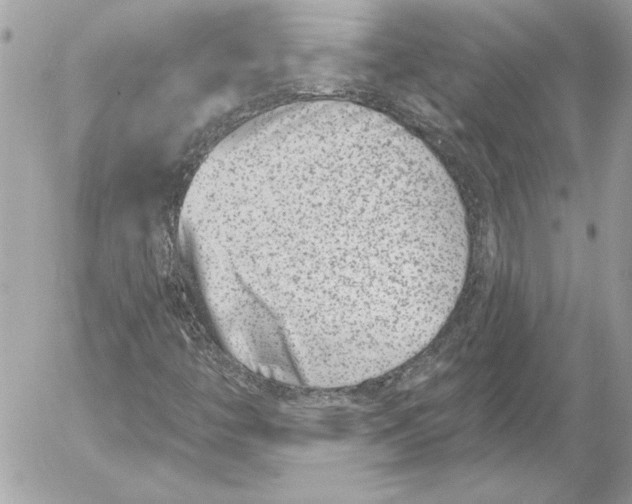 X0000054441446200508191559