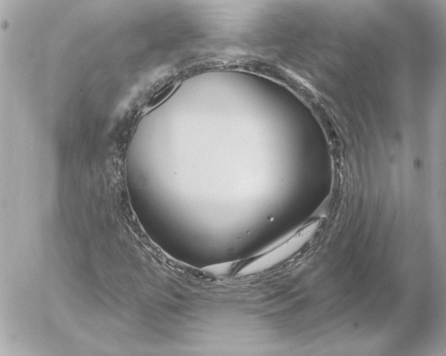 X0000054441447200508191559