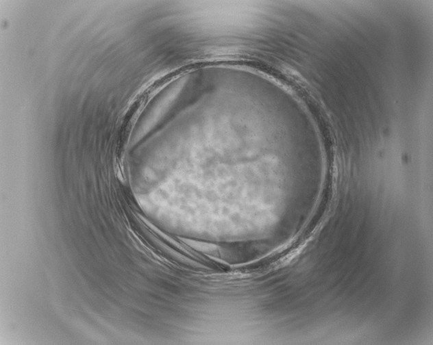 X0000054441449200508191559