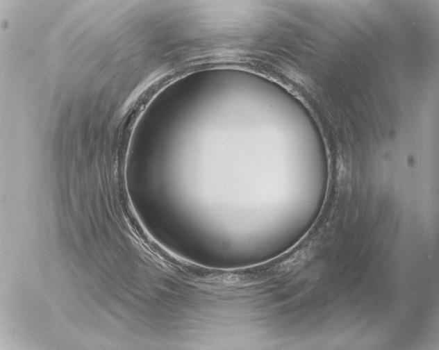 X0000054441450200508191559