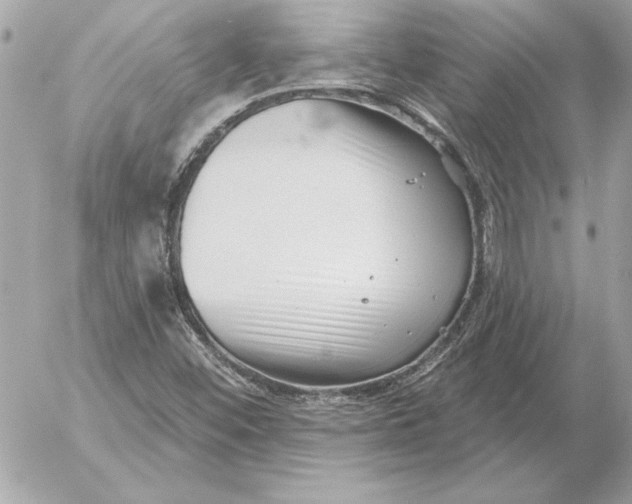 X0000054441452200508191559