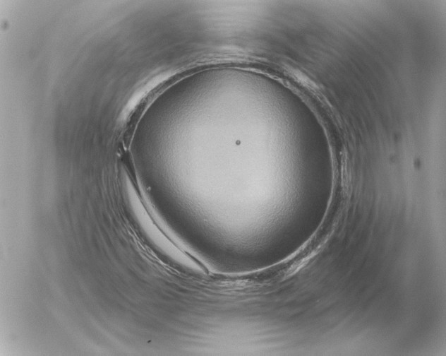 X0000054441453200508191559