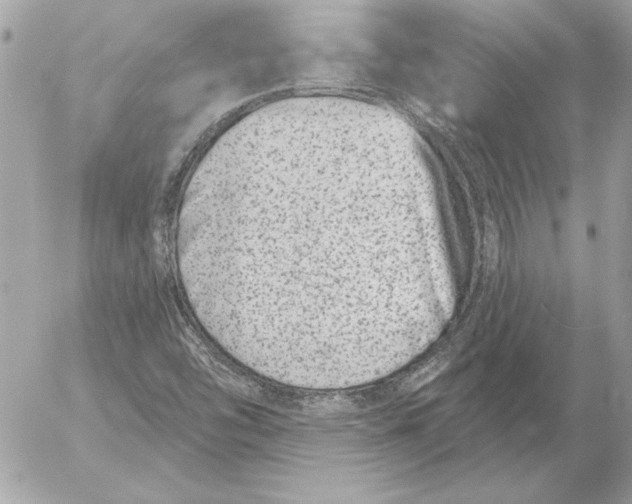 X0000054441454200508191559