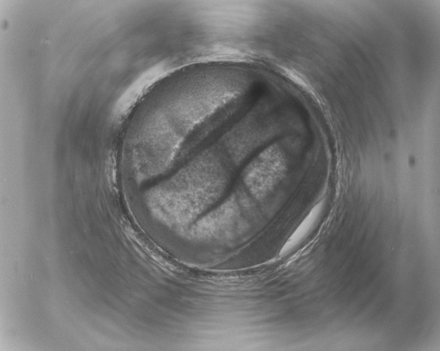 X0000054441455200508191559