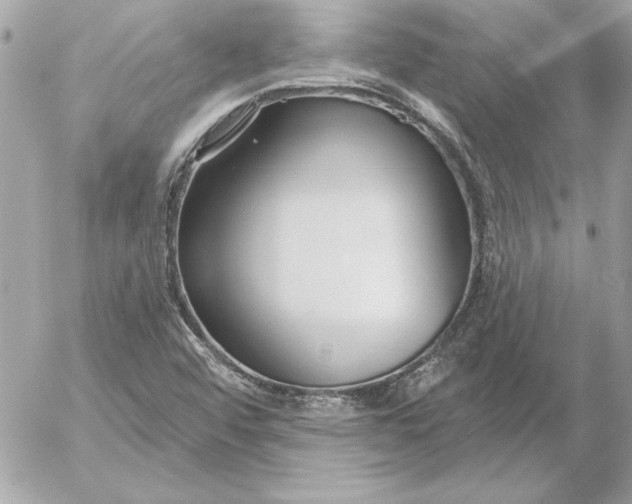 X0000054441456200508191559