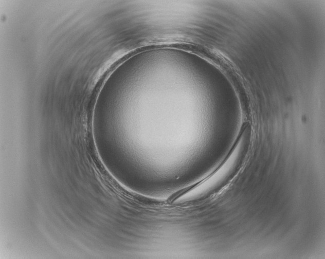 X0000054441457200508191559