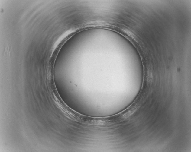 X0000054441458200508191559