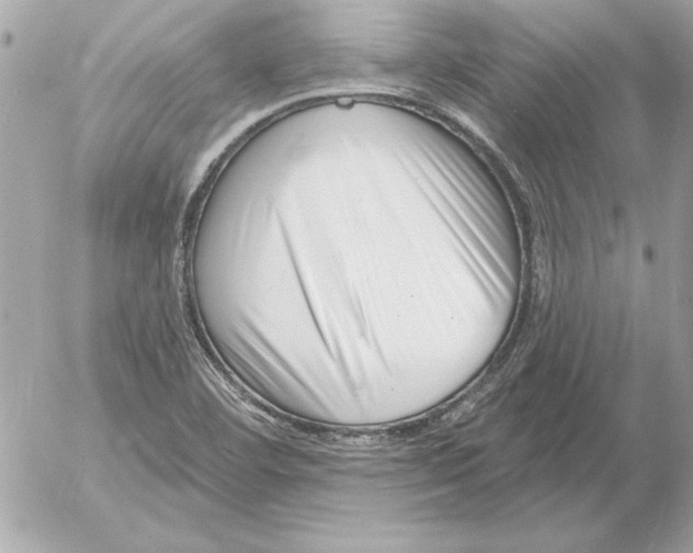 X0000054441460200508191559