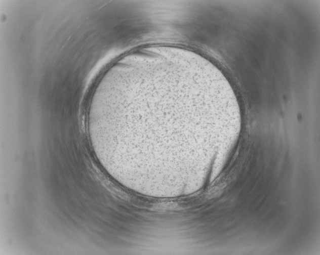 X0000054441462200508191559