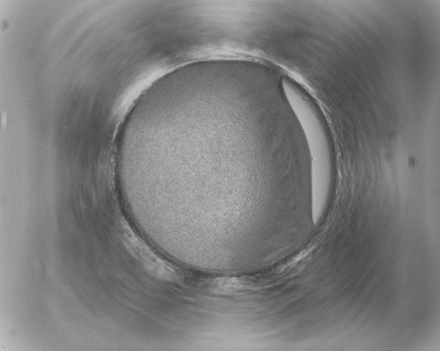 X0000054441463200508191559