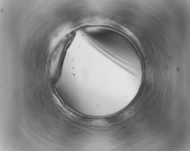 X0000054441464200508191559