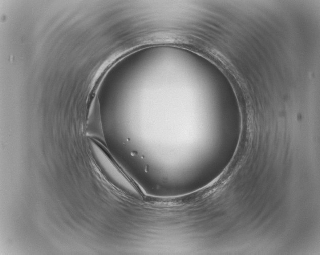 X0000054441465200508191559