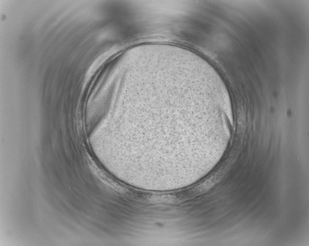 X0000054441466200508191559