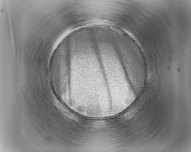 X0000054441467200508191559