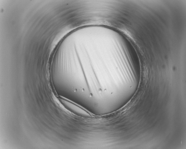 X0000054441468200508191558